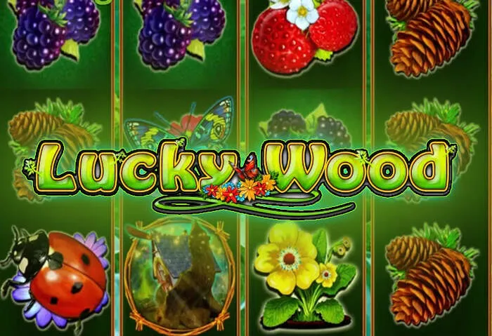 Mobile Wincraft Casino Free Spins gaming interface.